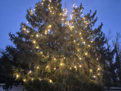 Herzliche Weihnachtsgrüße und beste Wünsche für das neue Jahr